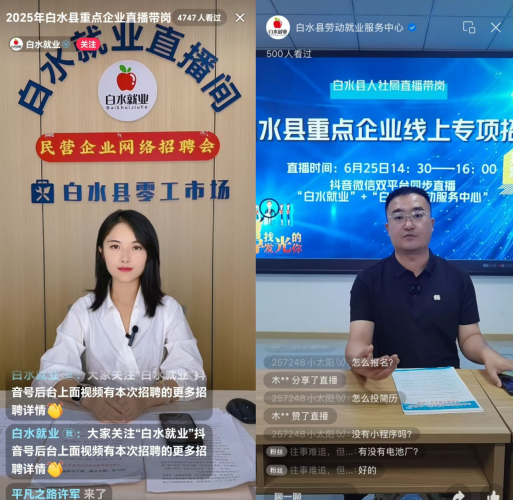 聚焦企業(yè)之需，架就業(yè)之橋梁：渭南市白水縣勞服中心雙平臺(tái)直播啟航